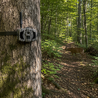 Caméra De Chasse - TrackHunter Vision