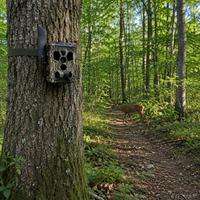 Caméra De Chasse - StealthCam Ranger