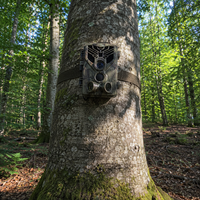 Caméra De Chasse - WildLens
