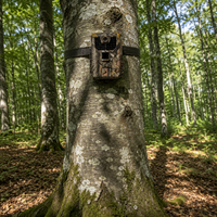 Caméra De Chasse - Pisteur Pro