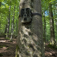 Caméra De Chasse - Vigora Trail