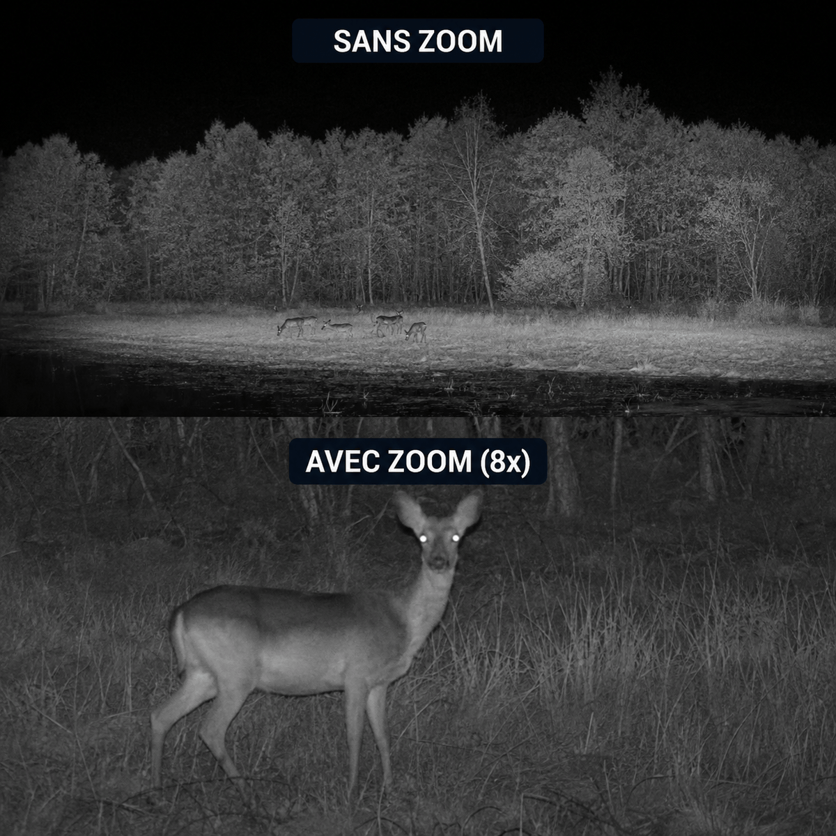 Jumelles Optic Vision Nocturne - Nocti Track - x8