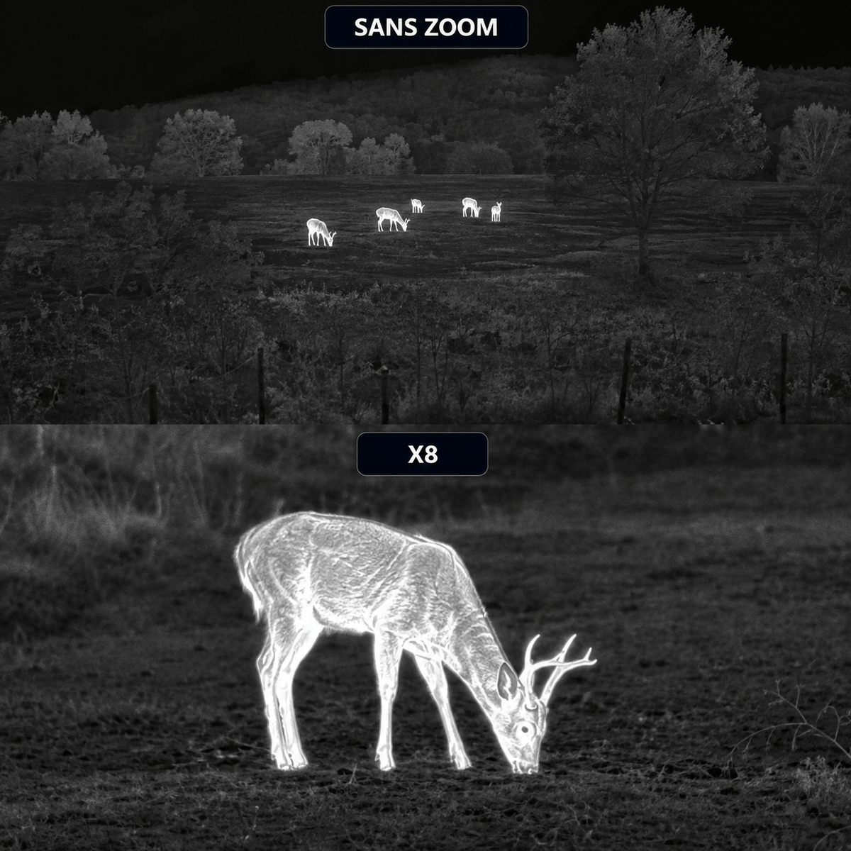 Jumelles Optic Vision Nocturne - Spectra Night Pro